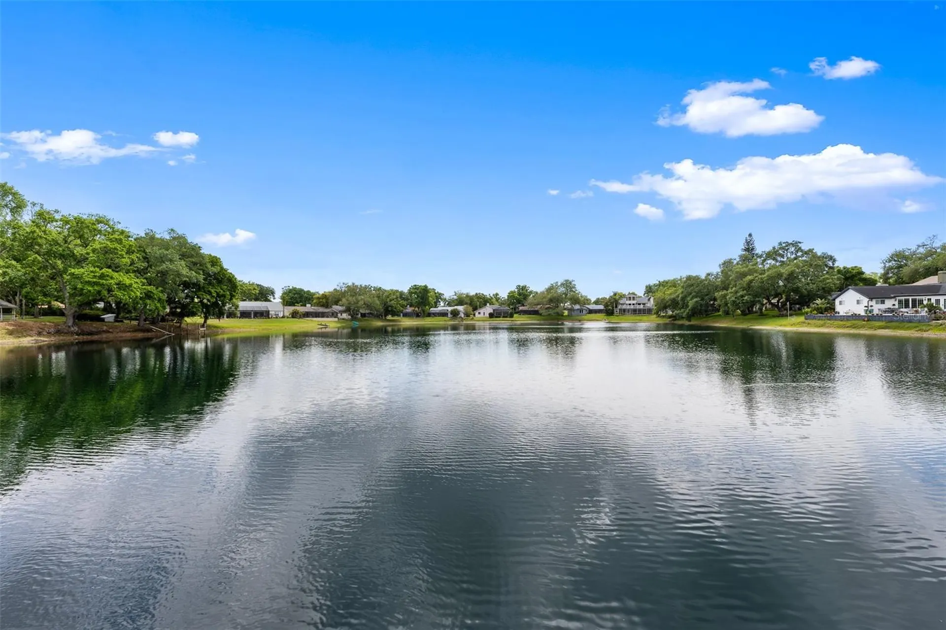 4829 Parson Brown Lane Palm Harbor FL 34684