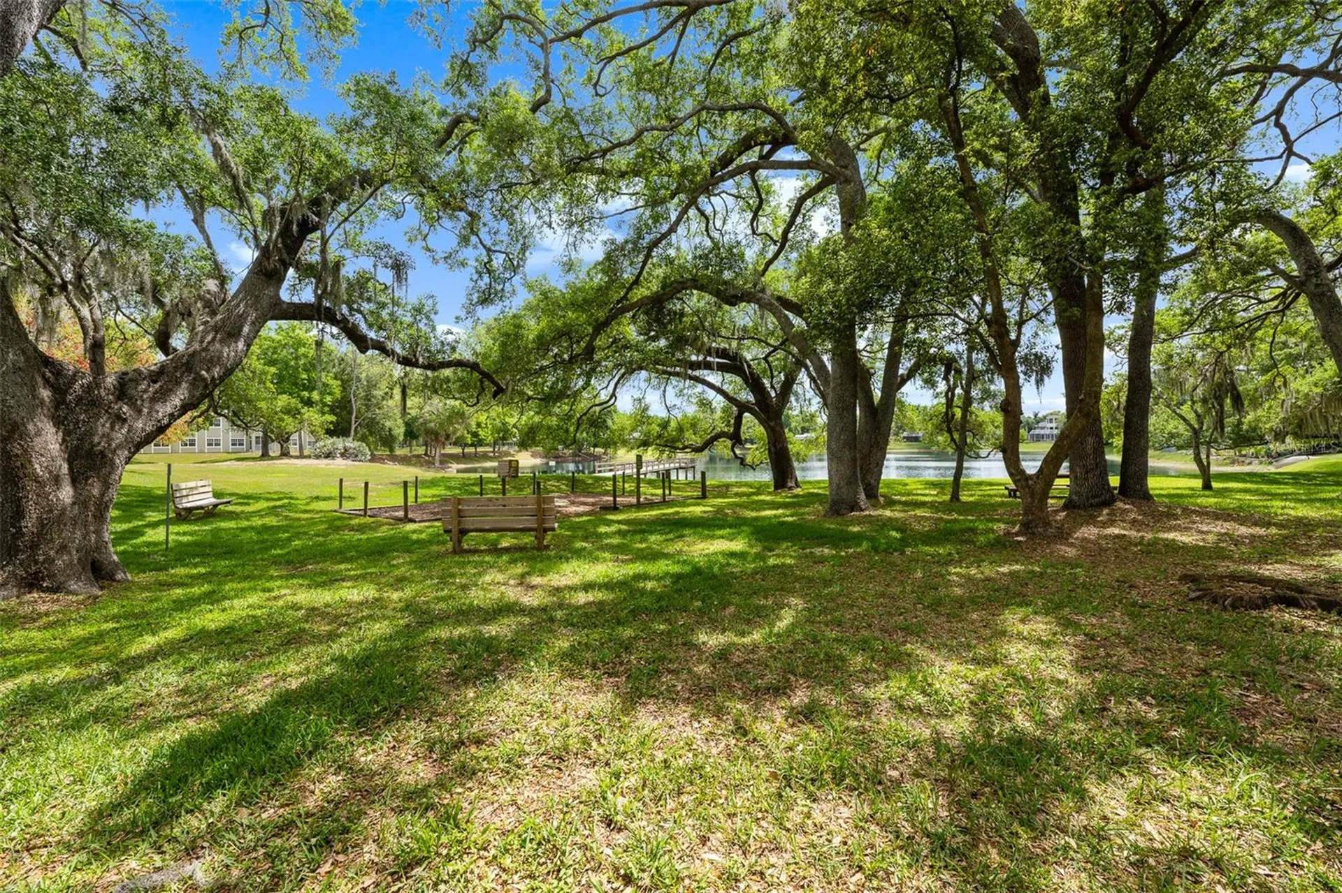 4829 Parson Brown Lane Palm Harbor FL 34684