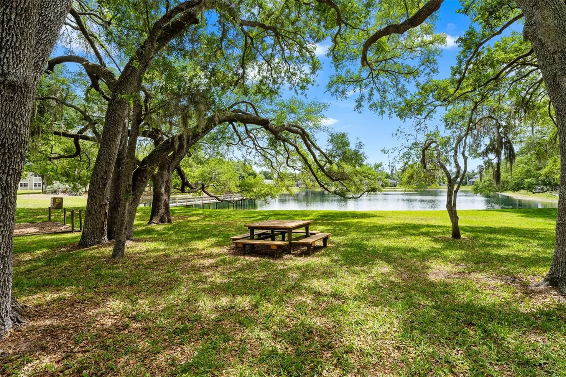 4829 Parson Brown Lane Palm Harbor FL 34684