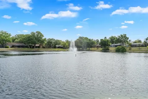 4829 Parson Brown Lane Palm Harbor FL 34684