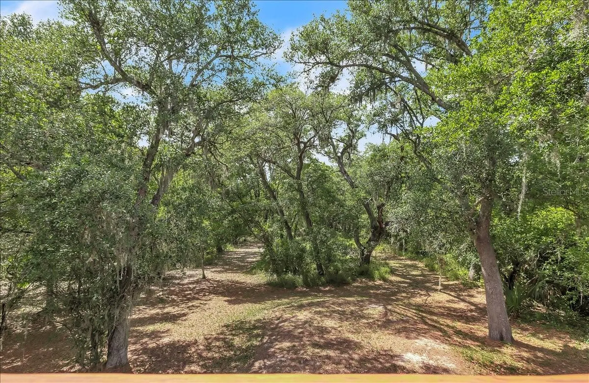 1807 NW Owens Avenue Arcadia FL 34266