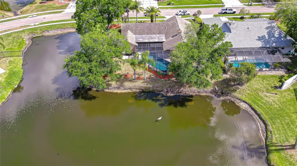 20 Fernbrook Road Oldsmar FL 34677