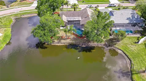 20 Fernbrook Road Oldsmar FL 34677