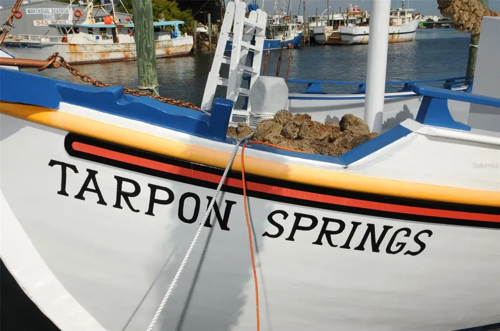 Grosse Avenue Tarpon Springs FL 34689