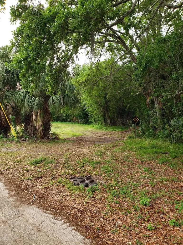 Grosse Avenue Tarpon Springs FL 34689