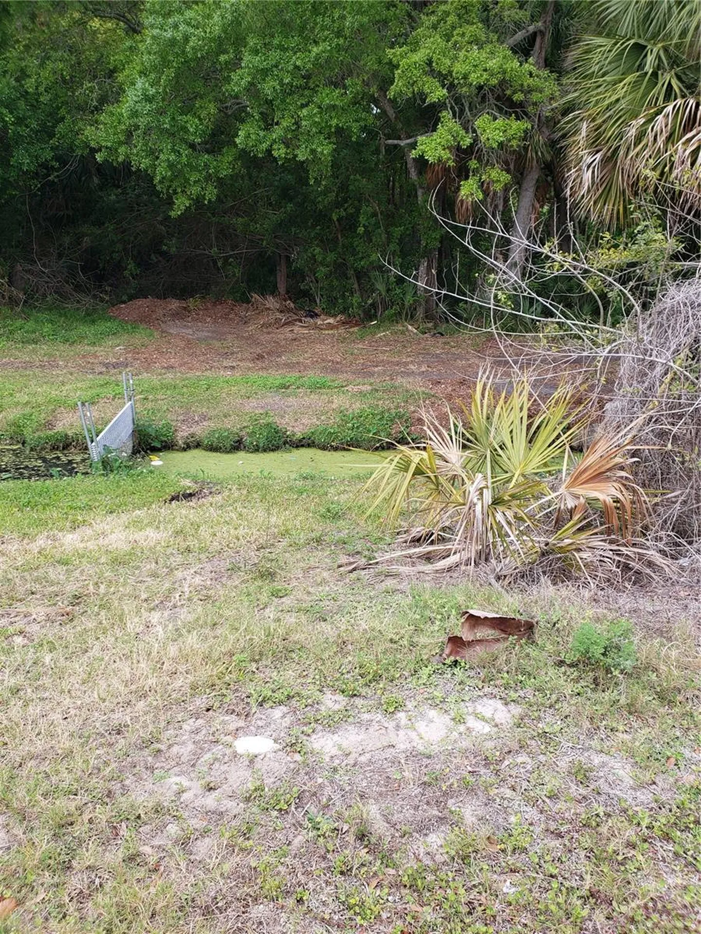 Grosse Avenue Tarpon Springs FL 34689