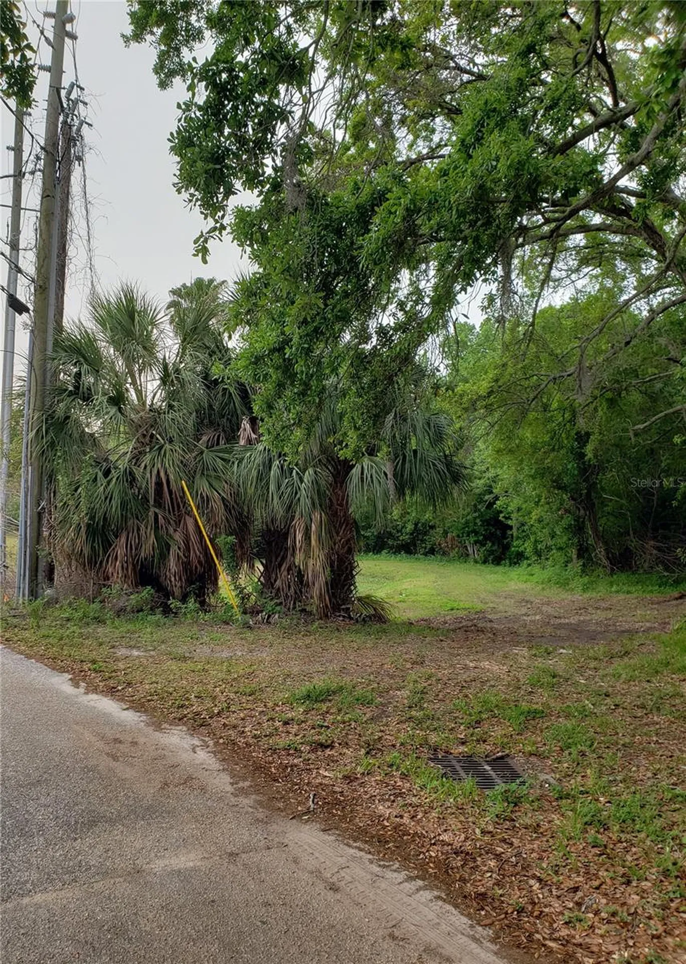 Grosse Avenue Tarpon Springs FL 34689