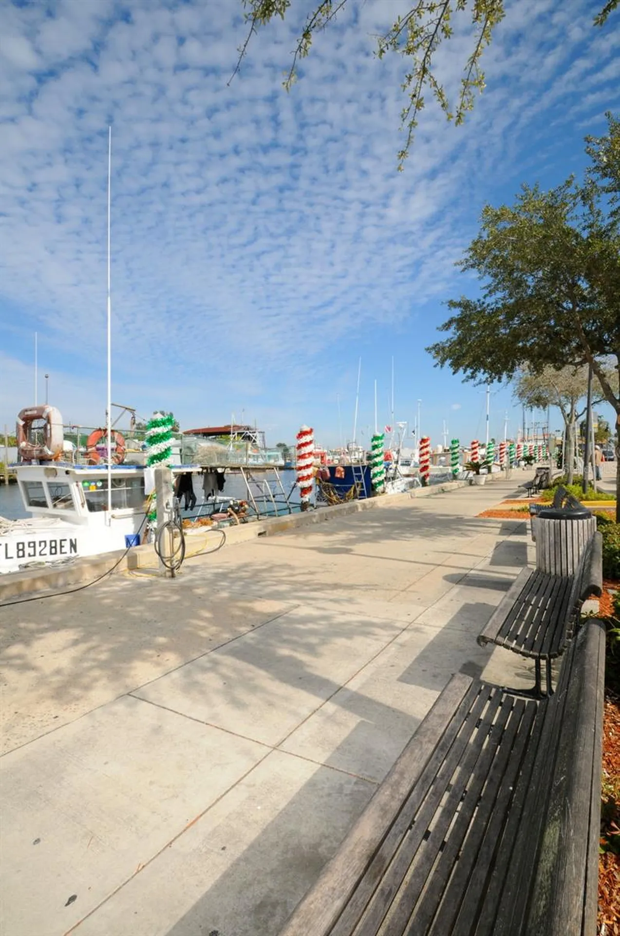 Grosse Avenue Tarpon Springs FL 34689