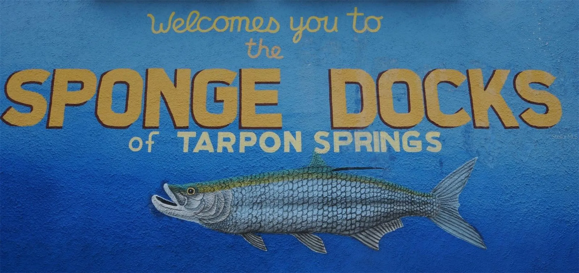 Grosse Avenue Tarpon Springs FL 34689