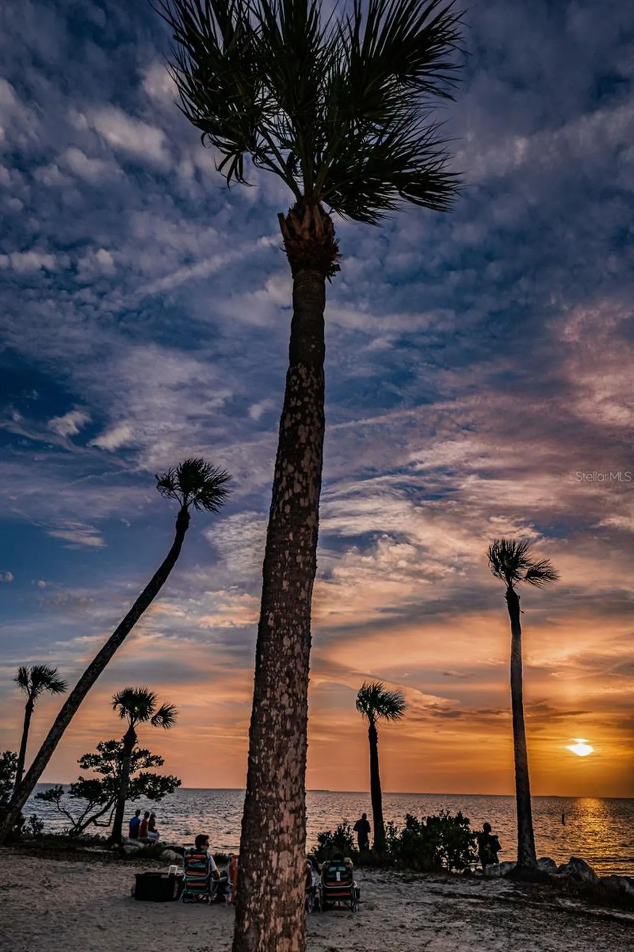 Grosse Avenue Tarpon Springs FL 34689
