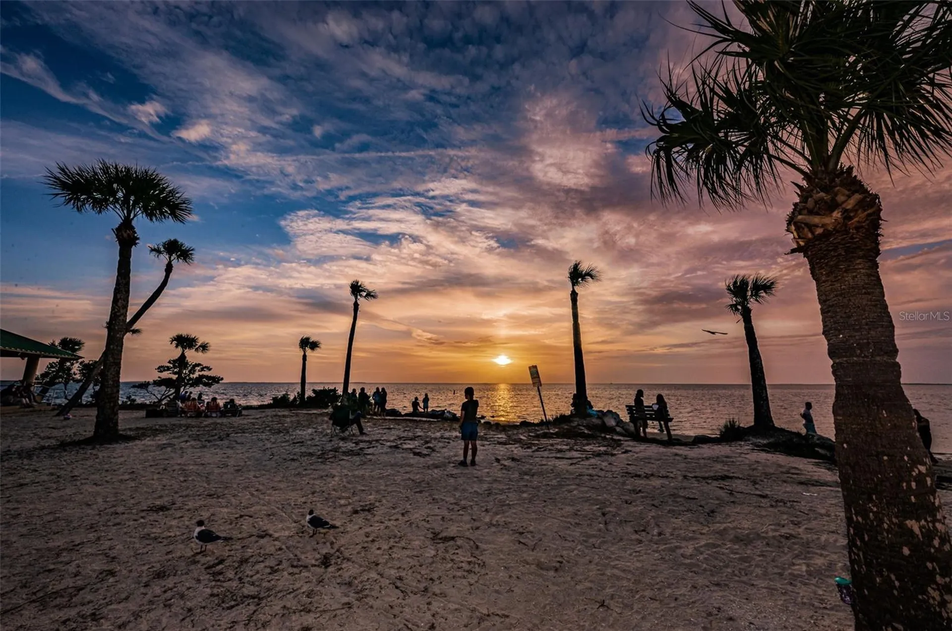 Grosse Avenue Tarpon Springs FL 34689