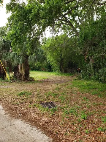Grosse Avenue Tarpon Springs FL 34689