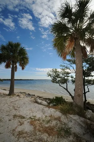 Grosse Avenue Tarpon Springs FL 34689