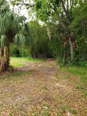 Grosse Avenue Tarpon Springs FL 34689