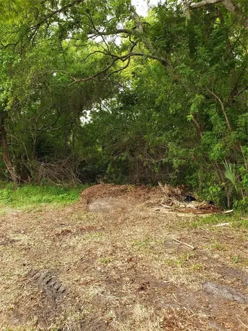 Grosse Avenue Tarpon Springs FL 34689