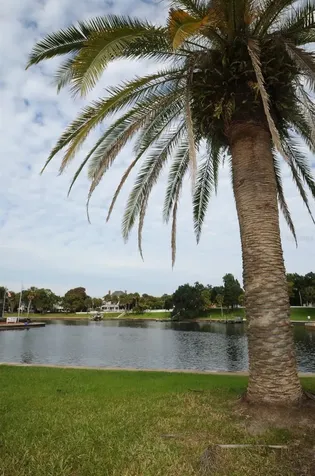 Grosse Avenue Tarpon Springs FL 34689