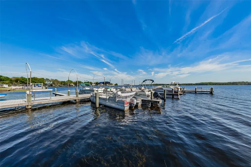29 Concord Lane Palm Harbor FL 34684