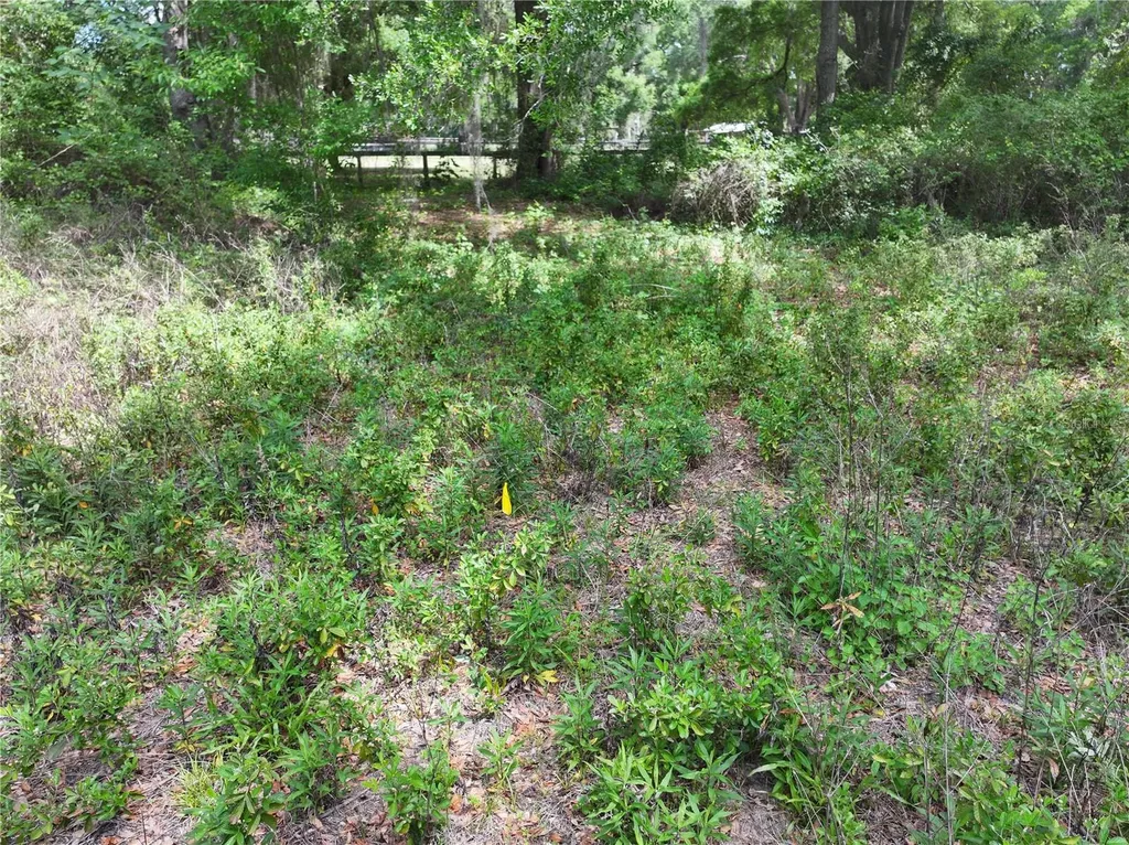 15825 NW 38th Avenue Reddick FL 32686