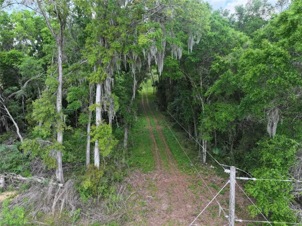 15825 NW 38th Avenue Reddick FL 32686
