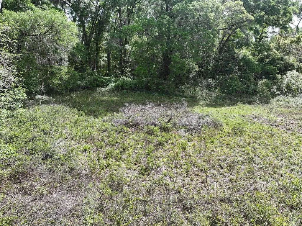 15825 NW 38th Avenue Reddick FL 32686