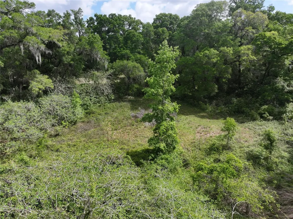 15825 NW 38th Avenue Reddick FL 32686
