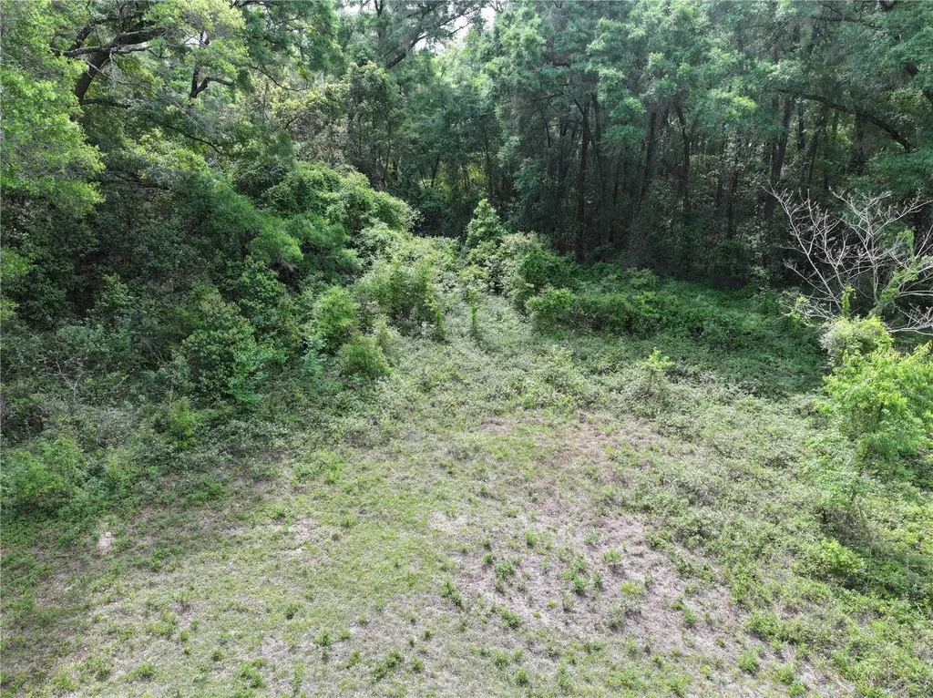 15825 NW 38th Avenue Reddick FL 32686