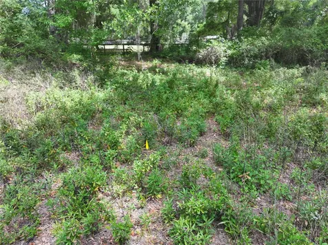 15825 NW 38th Avenue Reddick FL 32686