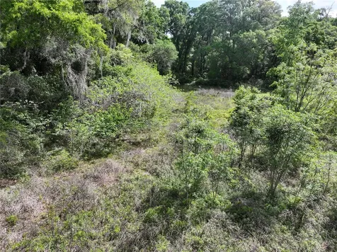 15825 NW 38th Avenue Reddick FL 32686