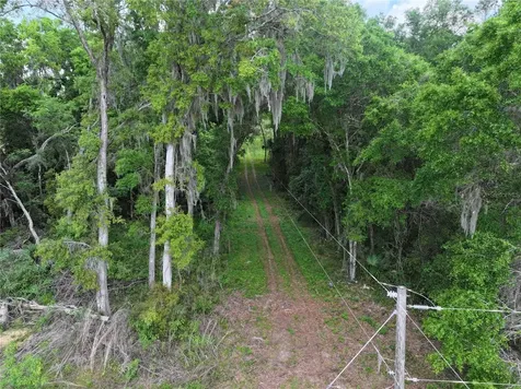 15825 NW 38th Avenue Reddick FL 32686
