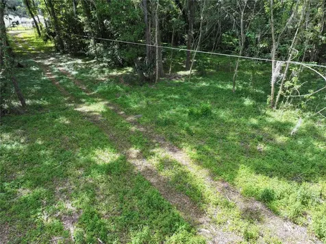 15825 NW 38th Avenue Reddick FL 32686