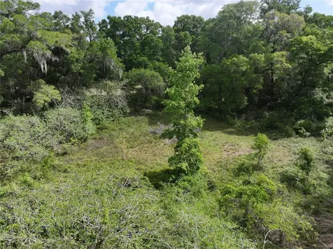 15825 NW 38th Avenue Reddick FL 32686
