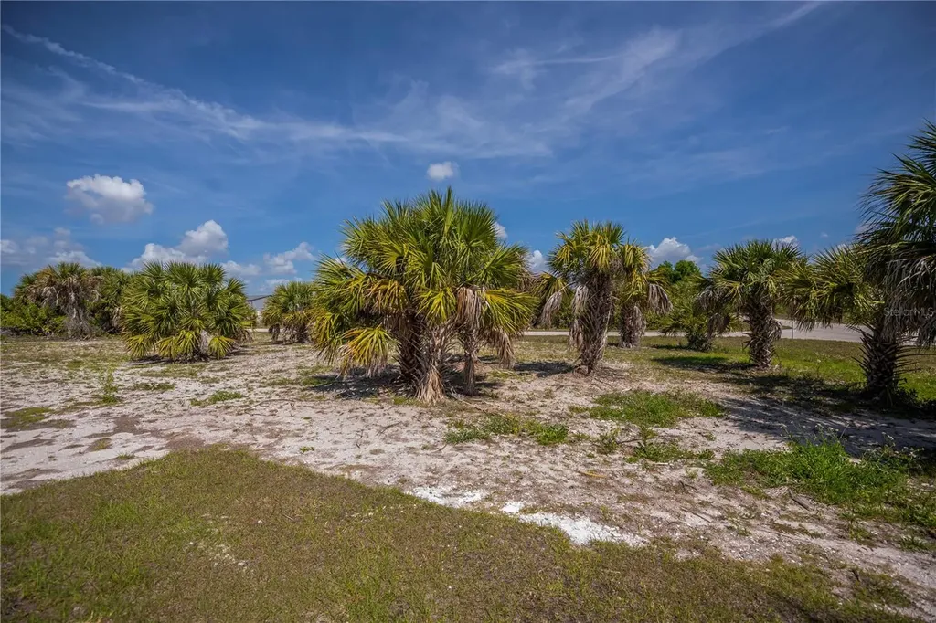 10165 & 10157 Kingsville Drive Port Charlotte FL 33981