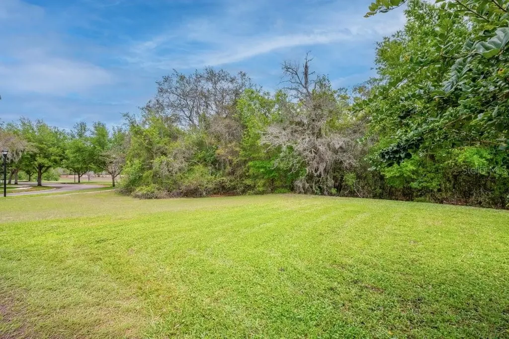 5204 Bannister Park Lane Lithia FL 33547