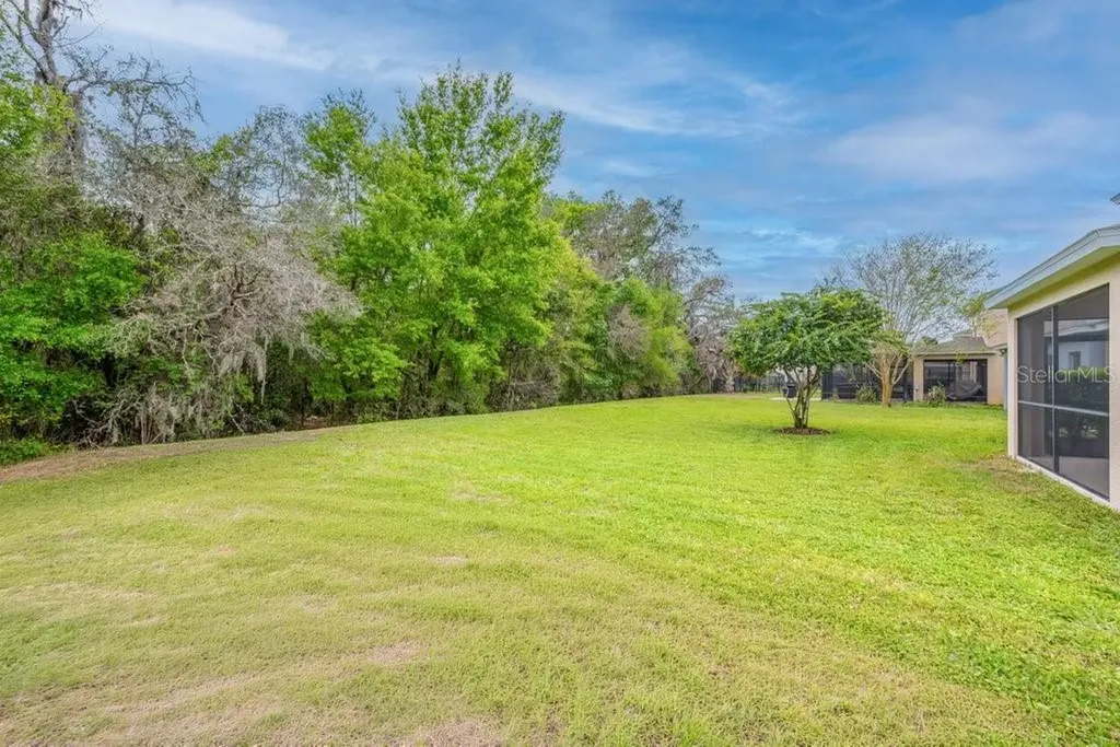 5204 Bannister Park Lane Lithia FL 33547