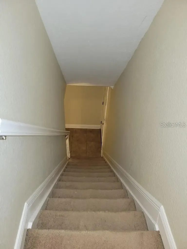 13698 Orange Sunset Drive Tampa FL 33618