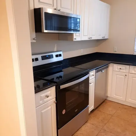 13698 Orange Sunset Drive Tampa FL 33618