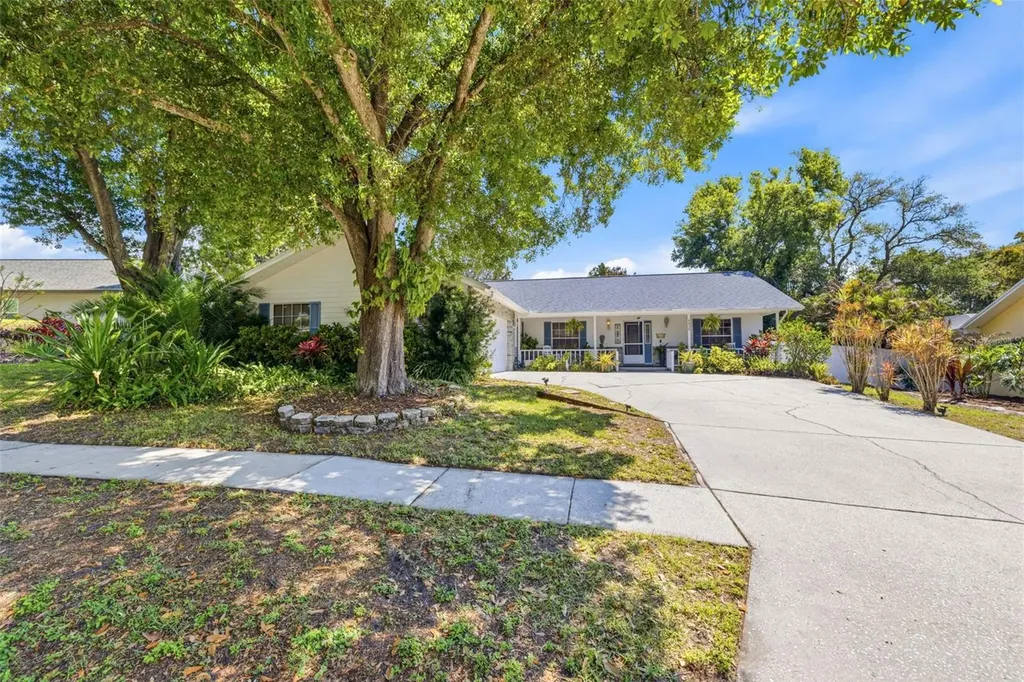 4936 Mineola Place Palm Harbor FL 34684