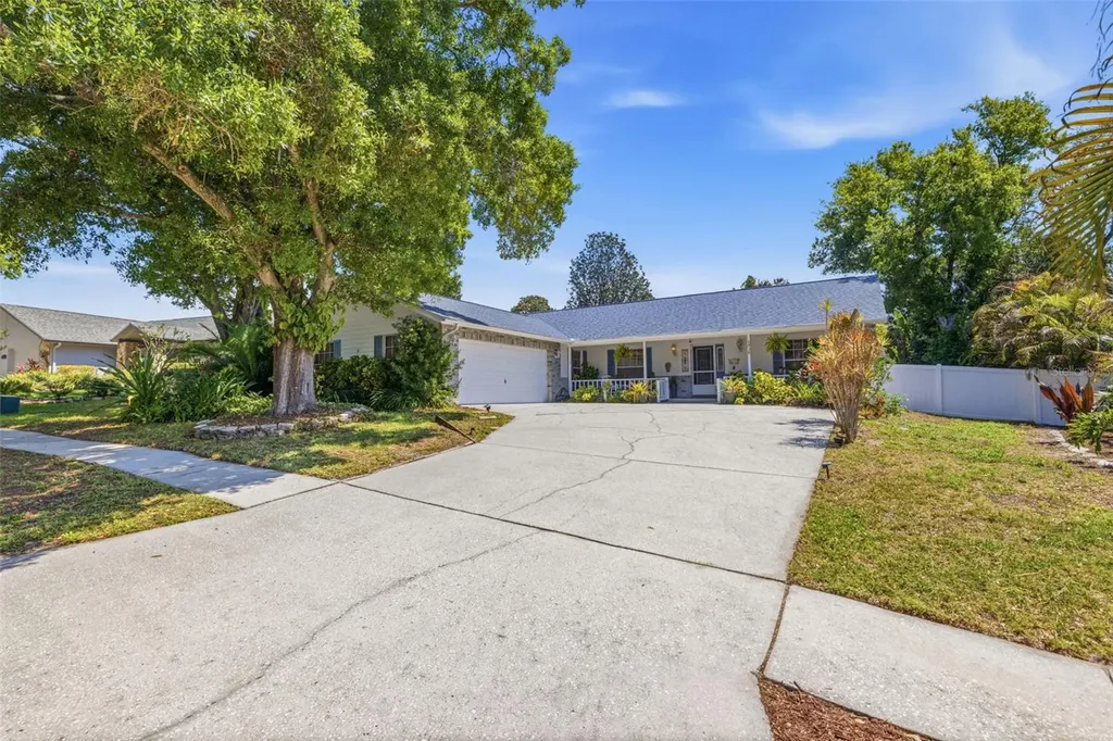 4936 Mineola Place Palm Harbor FL 34684