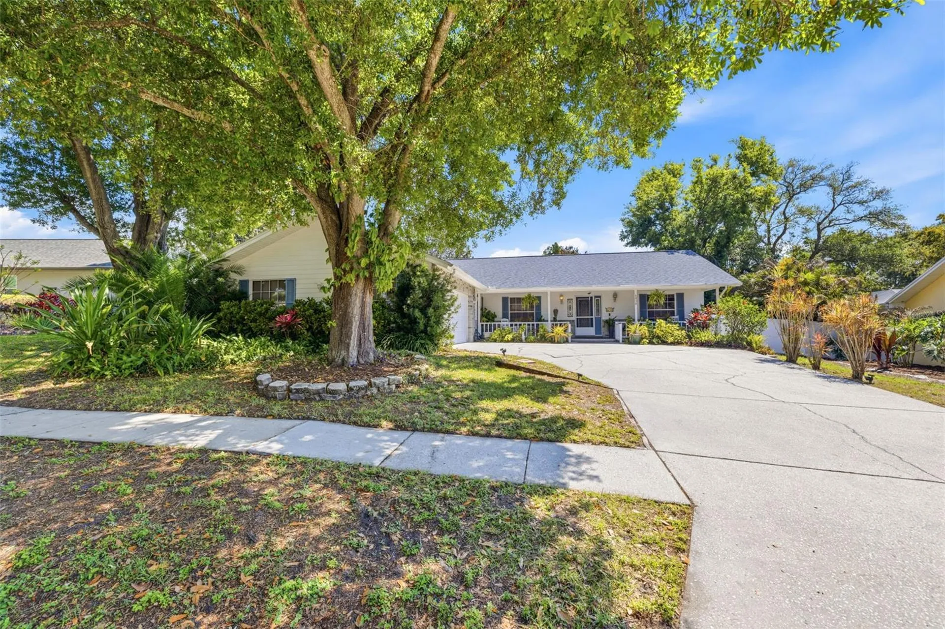 4936 Mineola Place Palm Harbor FL 34684