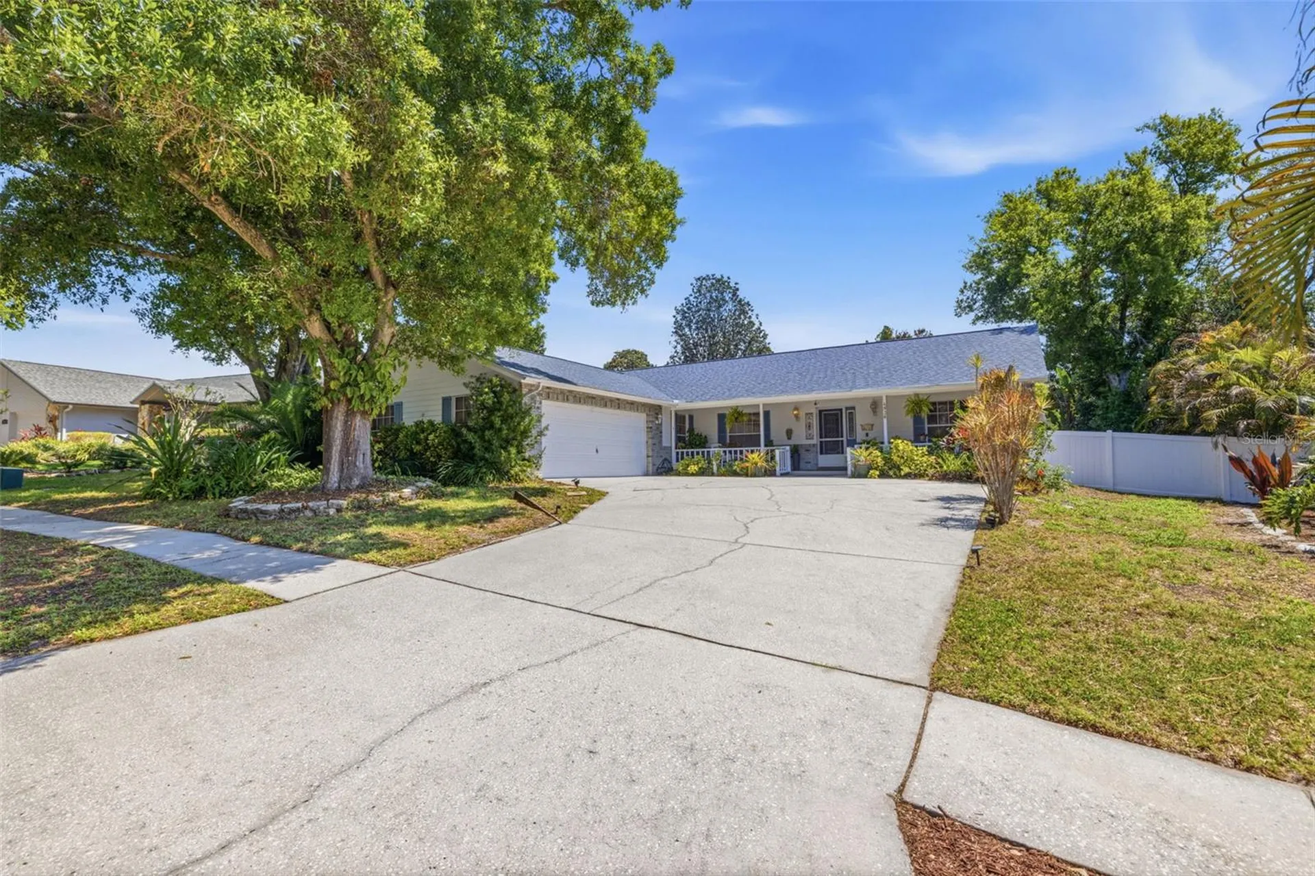 4936 Mineola Place Palm Harbor FL 34684