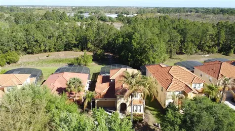 344 Orange Cosmos Boulevard Davenport FL 33837