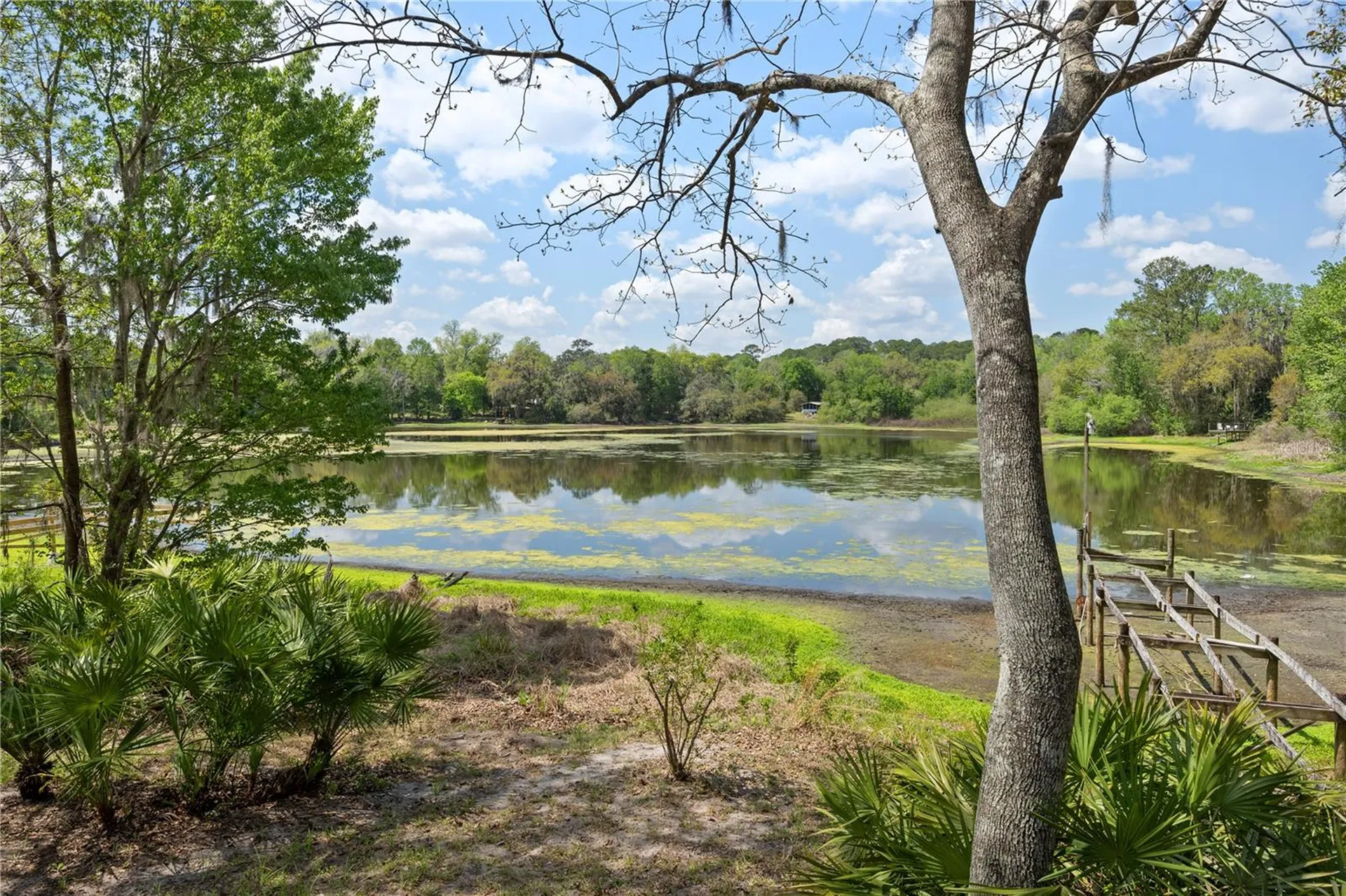 2550 SE 31st Street Gainesville FL 32641