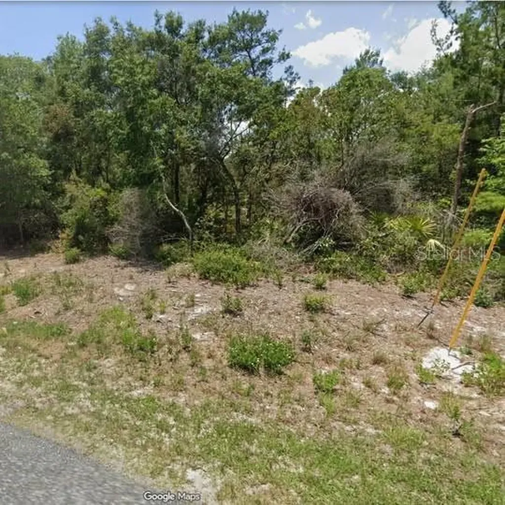 15-17-28-0200-009-00100 Georgia Street Paisley FL 32767