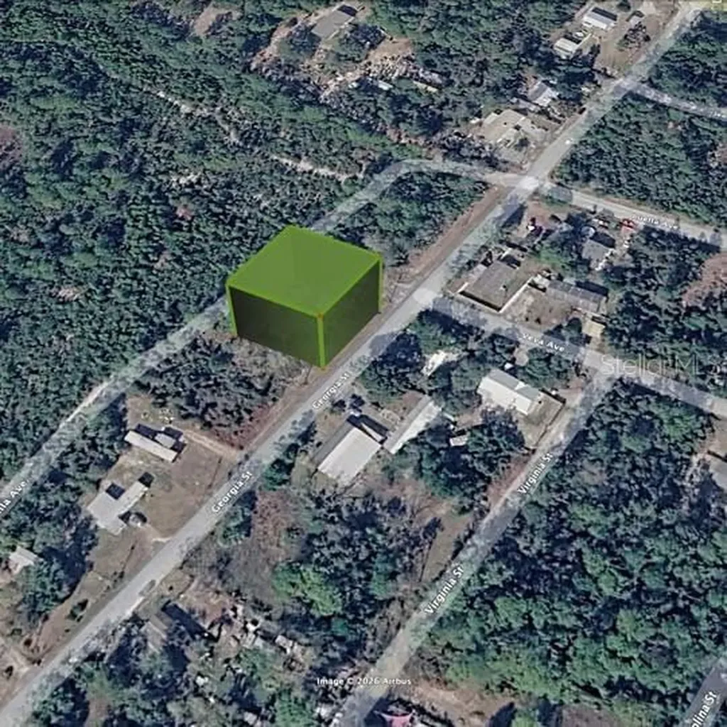 15-17-28-0200-009-00100 Georgia Street Paisley FL 32767