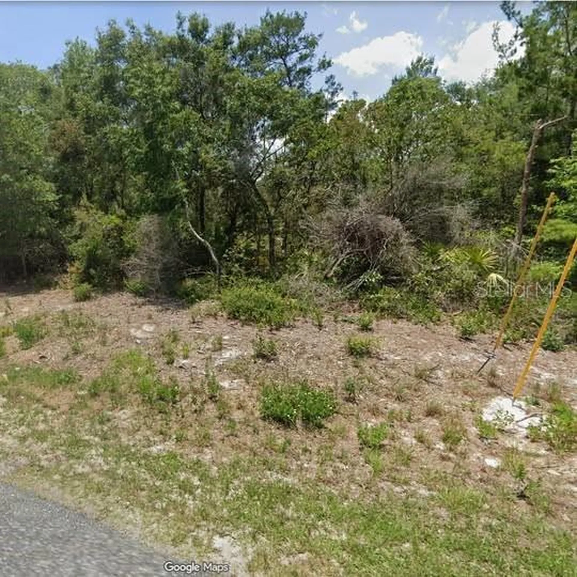 15-17-28-0200-009-00100 Georgia Street Paisley FL 32767