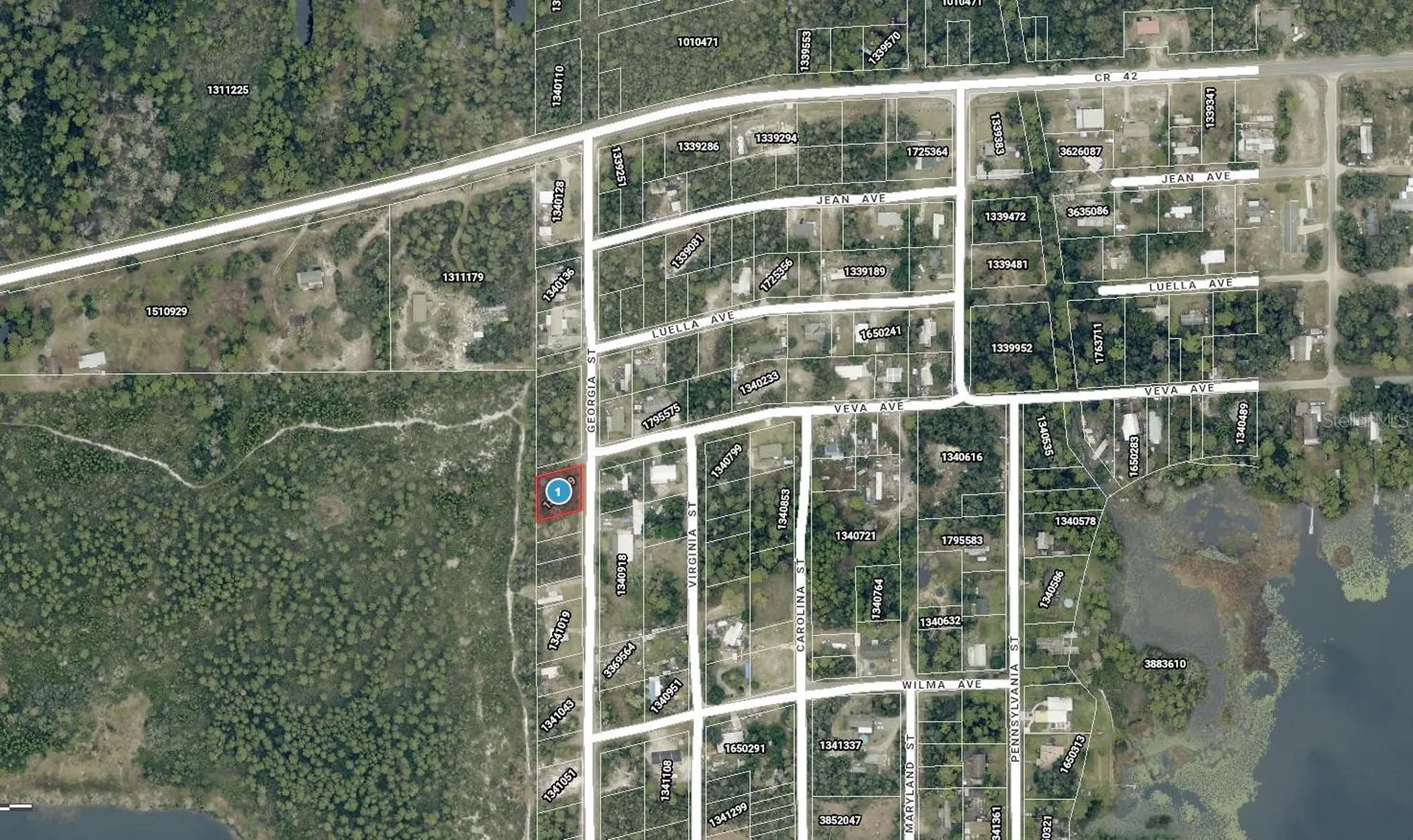 15-17-28-0200-009-00100 Georgia Street Paisley FL 32767