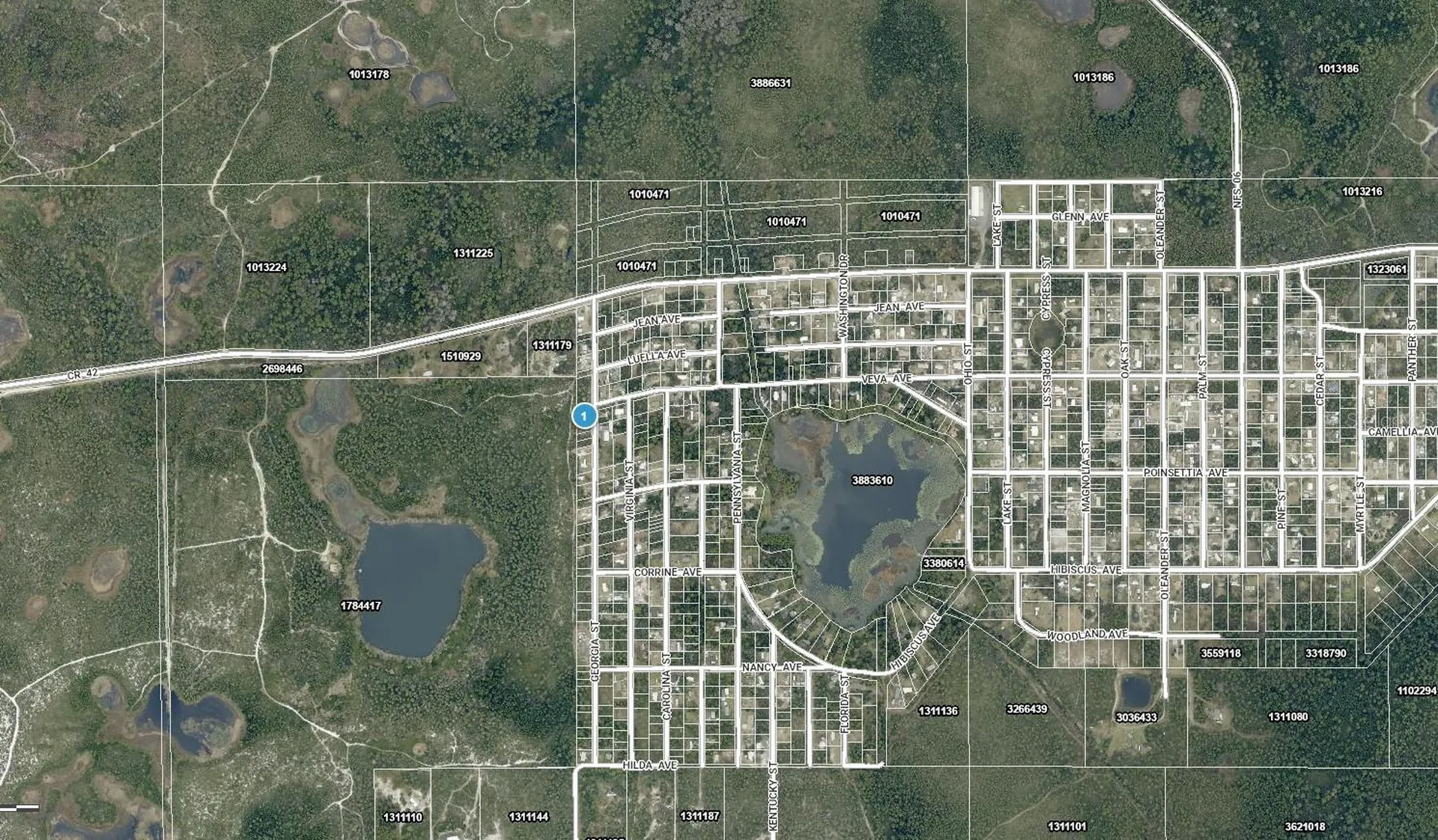 15-17-28-0200-009-00100 Georgia Street Paisley FL 32767