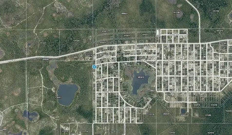 15-17-28-0200-009-00100 Georgia Street Paisley FL 32767