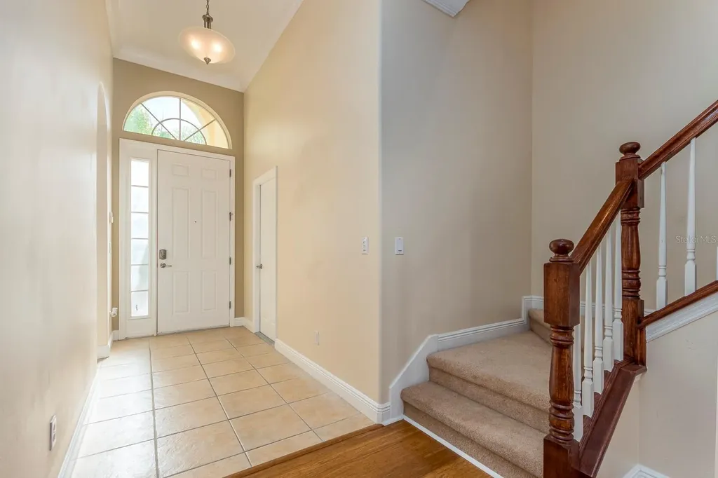 10639 Hatteras Drive Tampa FL 33615