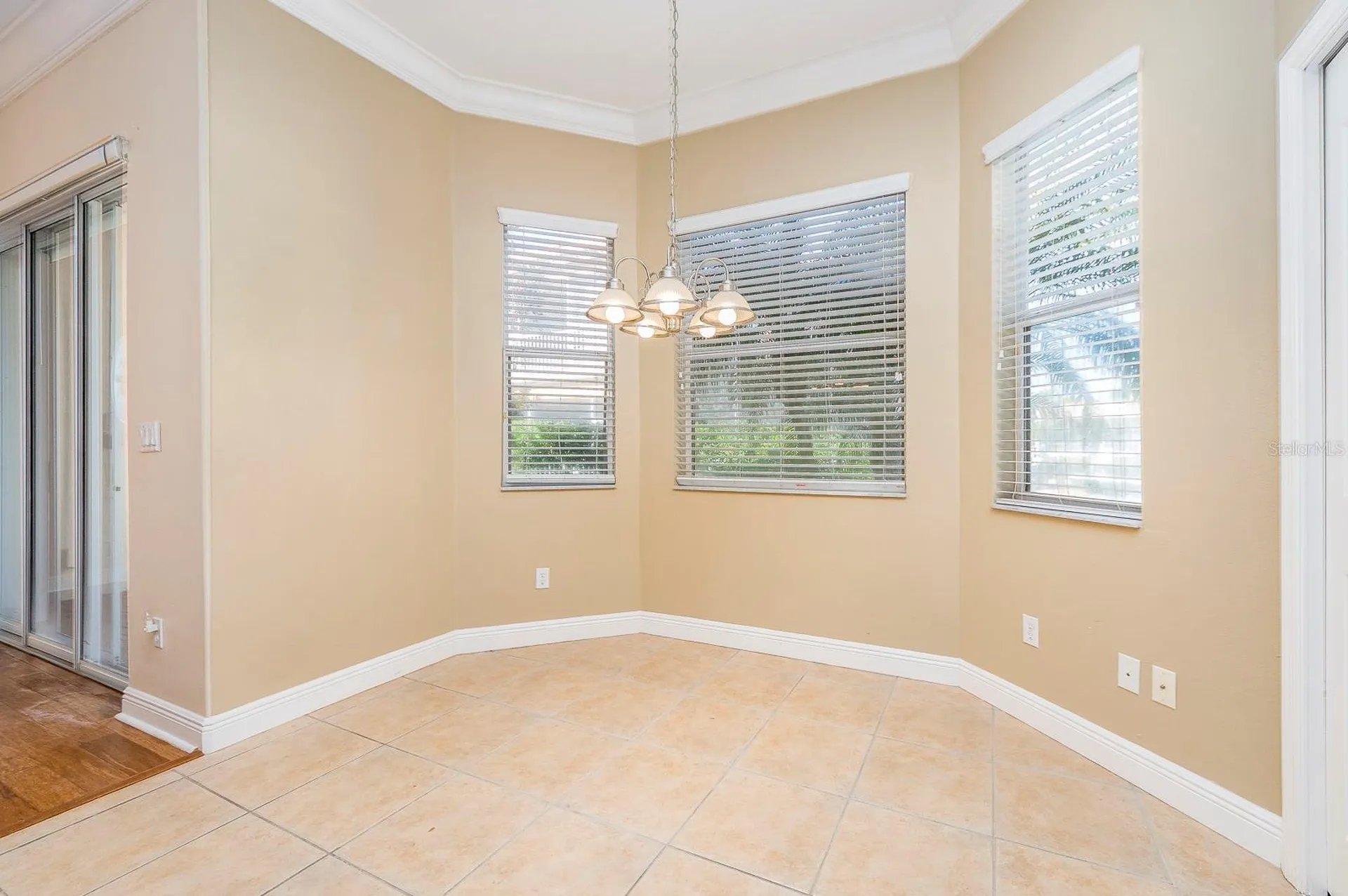 10639 Hatteras Drive Tampa FL 33615